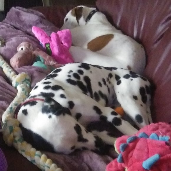 Meet your Posher, Ruth - Picture 6 of 13